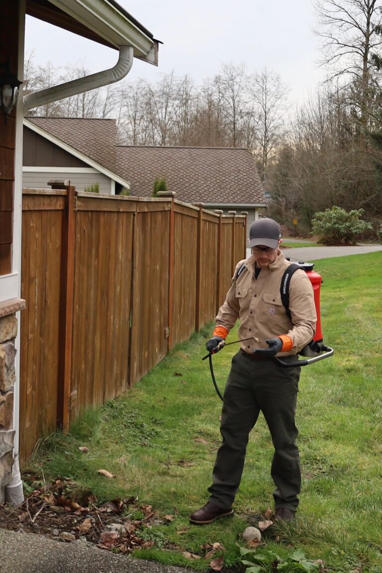 Ant Treatment In Everett Washington