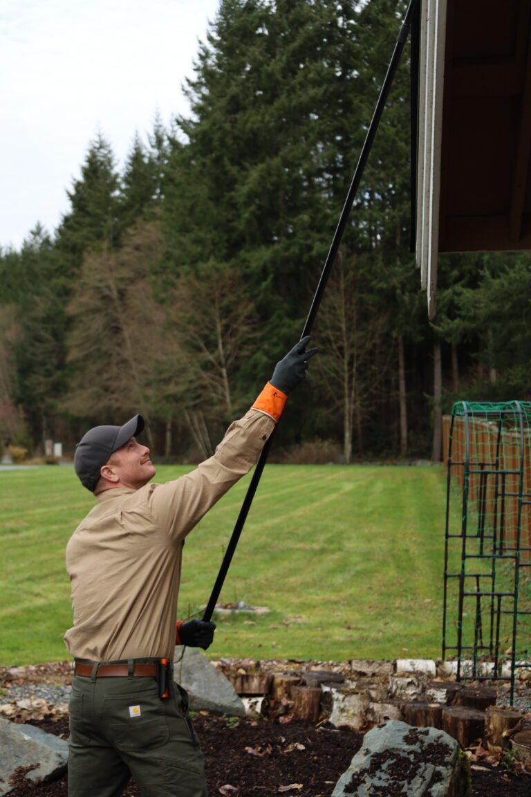 Photo Exterior dewebbing scaled