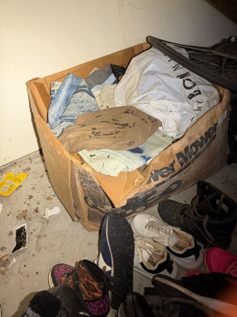 Rat droppings in someone's personal property stored an a garage