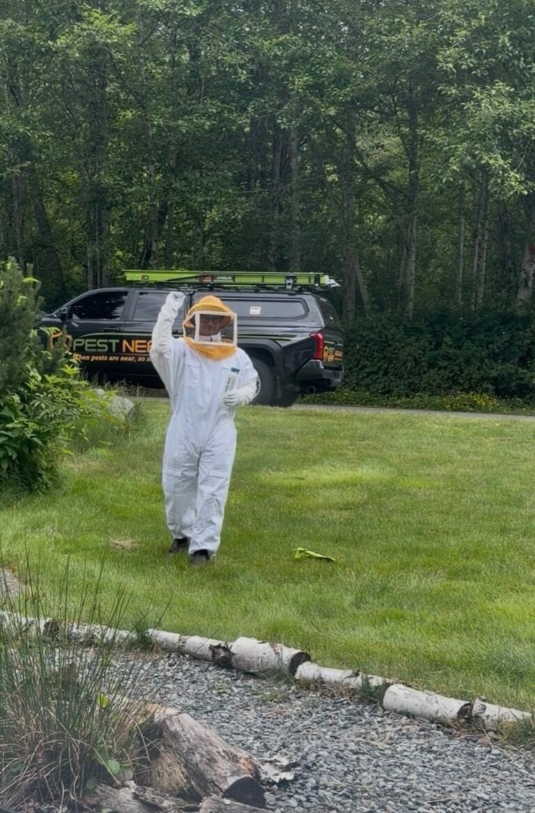 Pest Near technician in full protective suit performing wasp and hornet nest removal at a residential property in Snohomish County