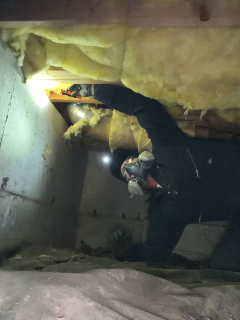 Pest Near technician inspecting a crawl space for rodent activity