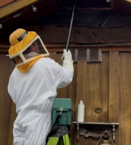Wasp nest removal in Snohomish County, WA — technician using HEPA vac