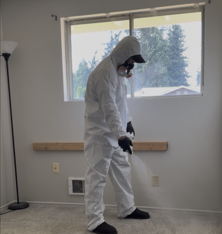 Professional flea treatment inside a residential home